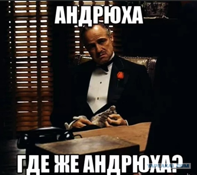 Не гоняйте девки пьяными