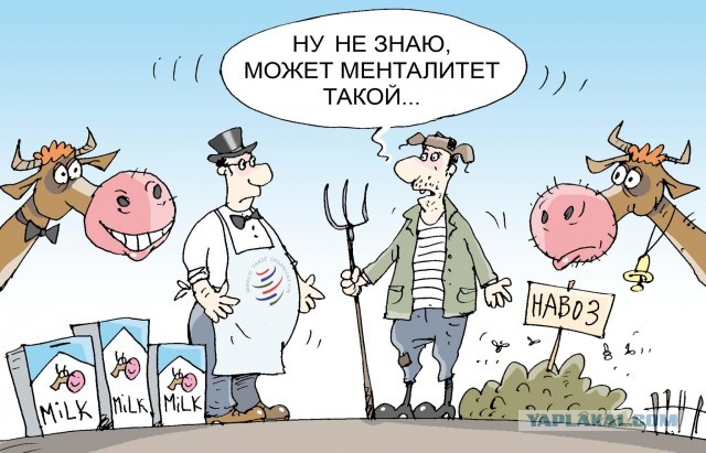 Менталитет?
