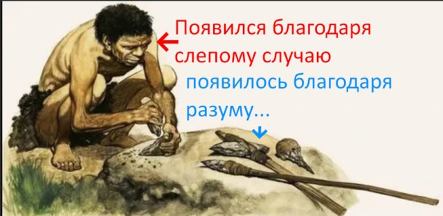 О вселенной и о том, где мы и кто мы