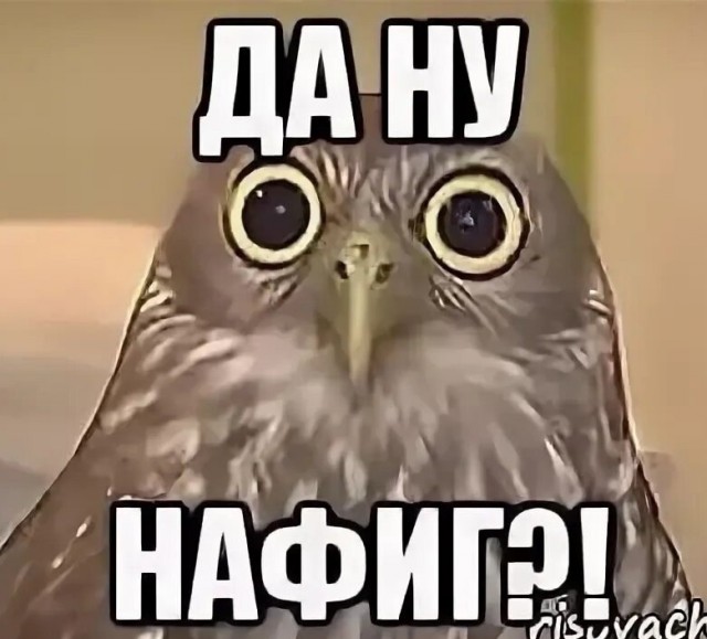 Делать страховку на машину это харам