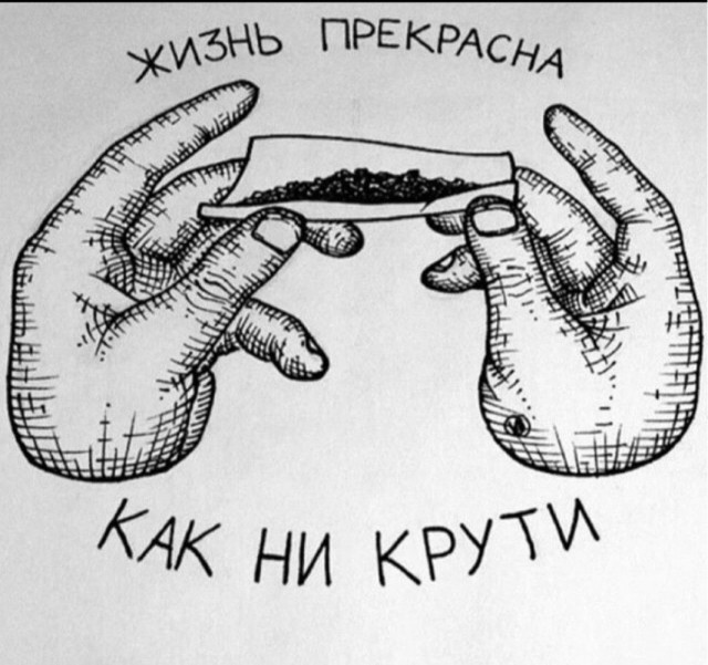 Прикольные и просто красивые картинки 02.08.2024