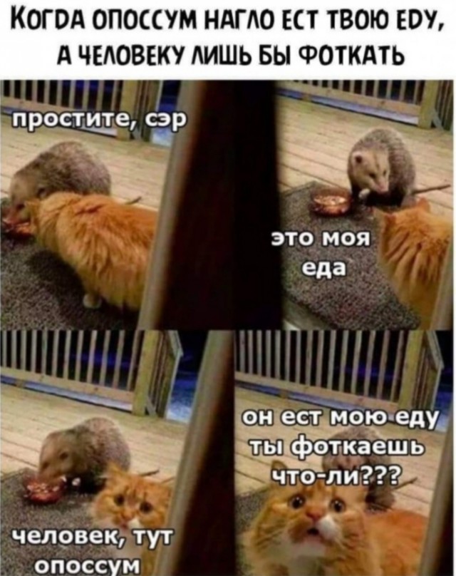 Картинки разные с надписями и без