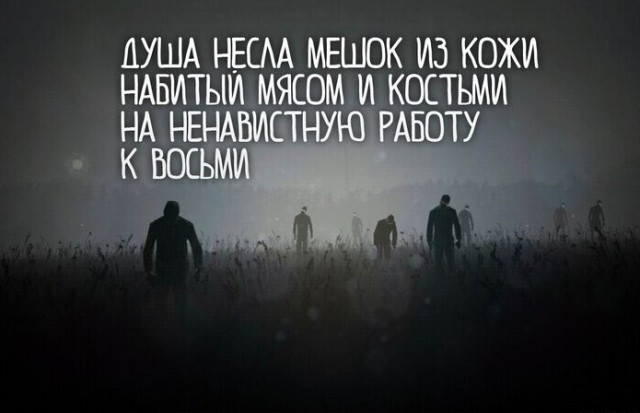 Так себе картинки 19.02.25