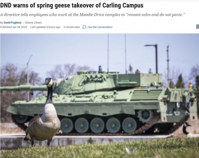 Канадское минобороны опубликовало директиву для военнослужащих, предписывающую регламент действий при встрече с агрессивными гусями, захватившими территорию оборонного кампуса в Оттаве.