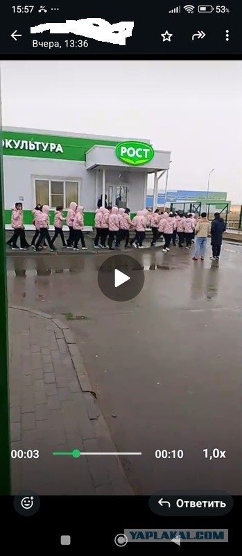 Еще раз про корейцев
