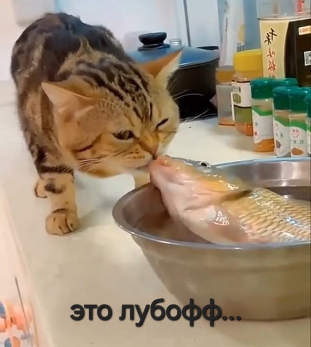 Дайте мне вон то вкусновое