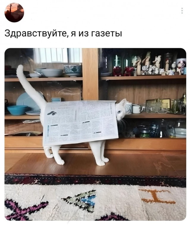 Интервьюер