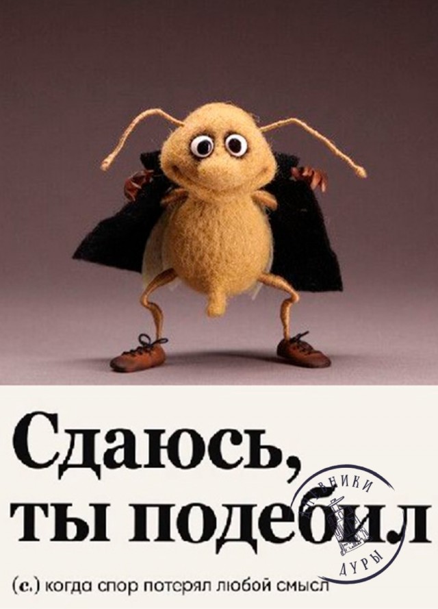 Картинок немного в среду утром