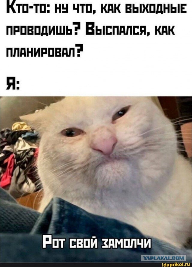 Так себе картинки 21.10.25
