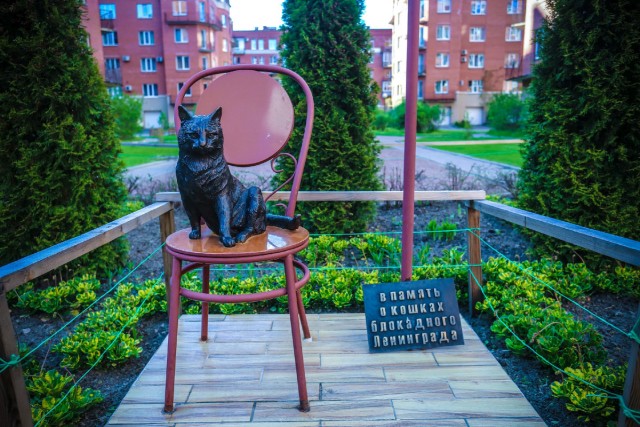 Кот Максим