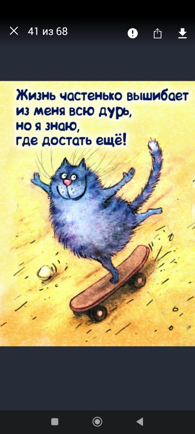 Коты минской художницы Рины Зенюк. 2025 год
