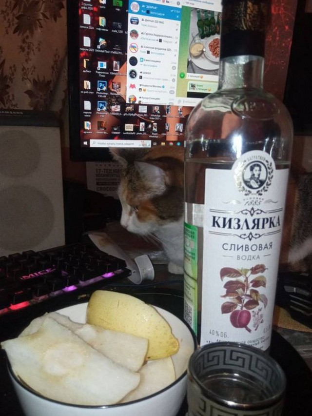 Разные картинки