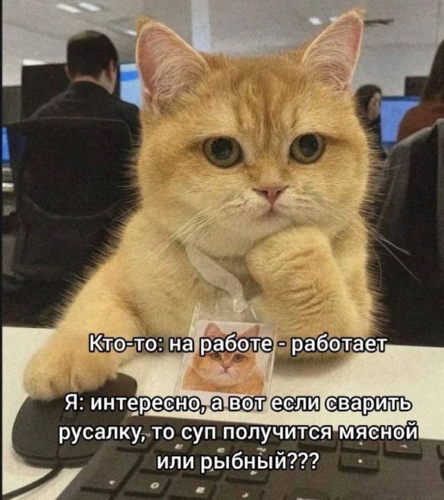 Так себе картинки 15.03.26