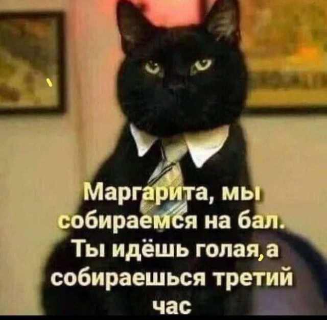 Картинки для деградации 183 (разной степени свежести)
