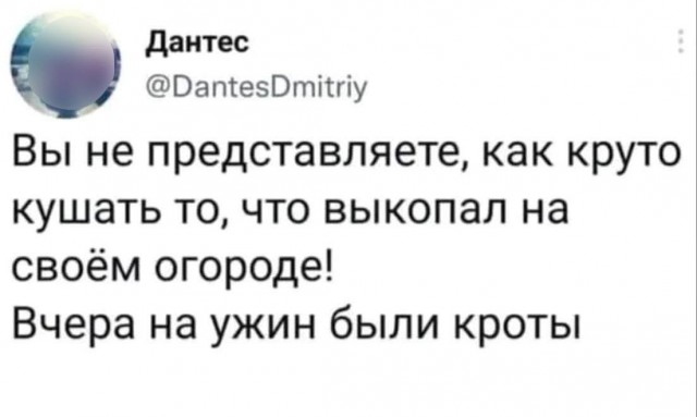 Картинки для деградации 185 (разной степени свежести)