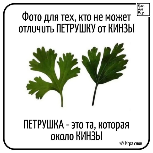Четверговые картинки