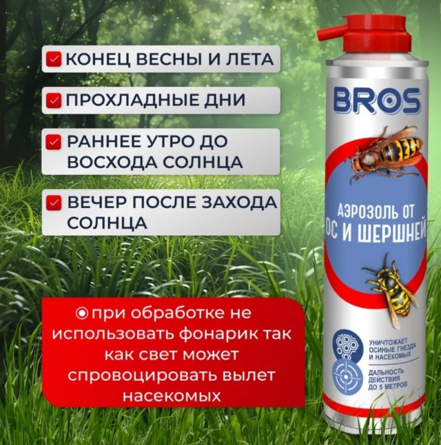 Осы: 5 пугающих видов. От маньяка-мясника до паразита в инжире