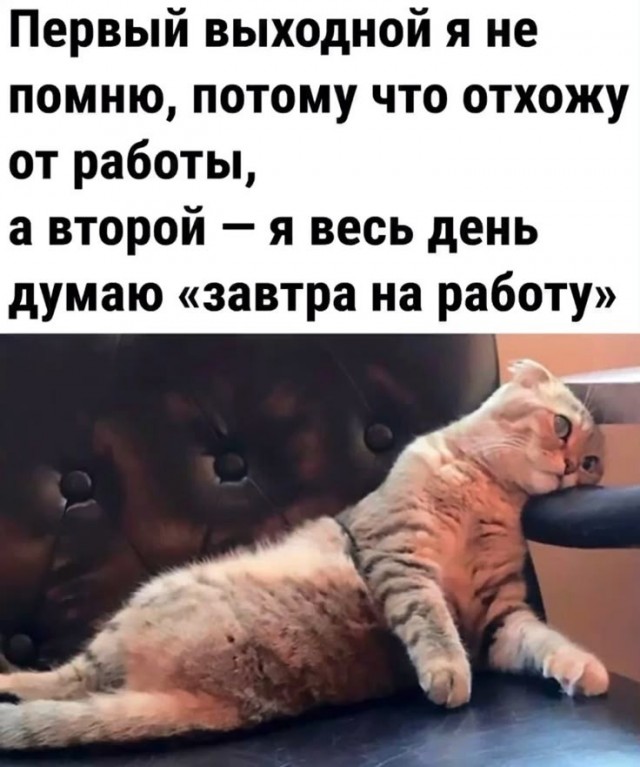 Картиночки, баянчики 25 апреля