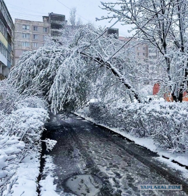 Пик высокоэнергетического шторма ожидается в ночь с понедельника на вторник в Подмосковье
