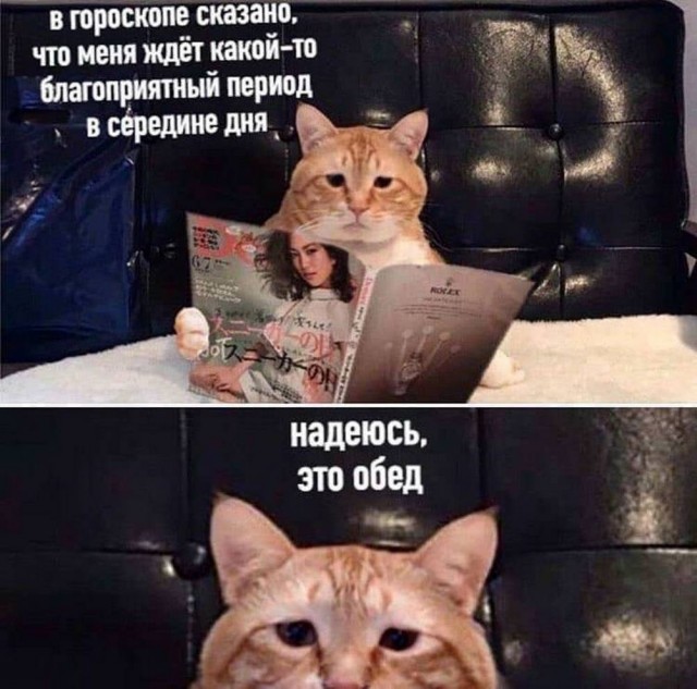 Картинки для деградации 226 (разной степени свежести)