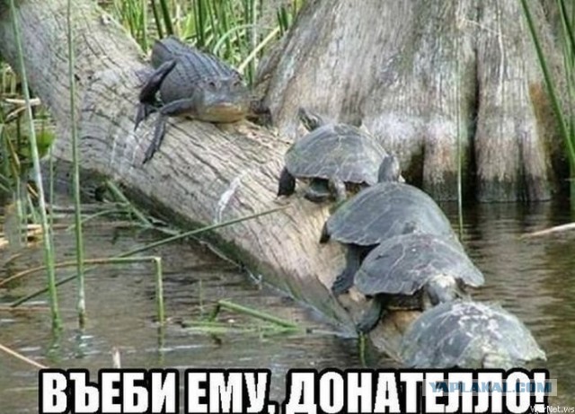 Самой боянистой на вашей памяти картинки псто