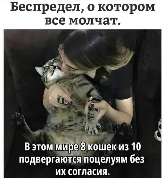 Я не буду молчать!