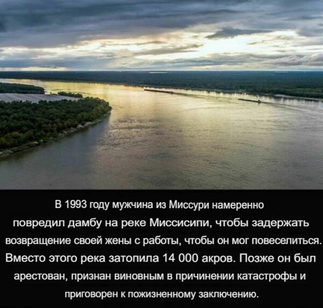 Исторические события в кадре