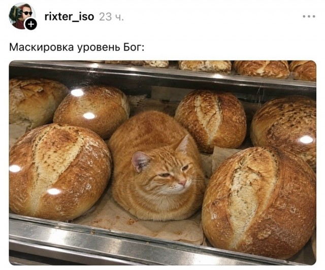 Так себе картинки 22.10.26