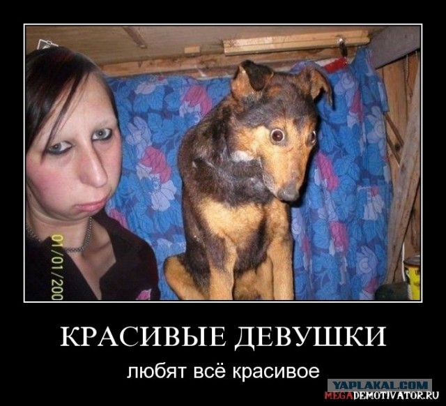 Очередная ТП устроила сессию на Мамаевом кургане