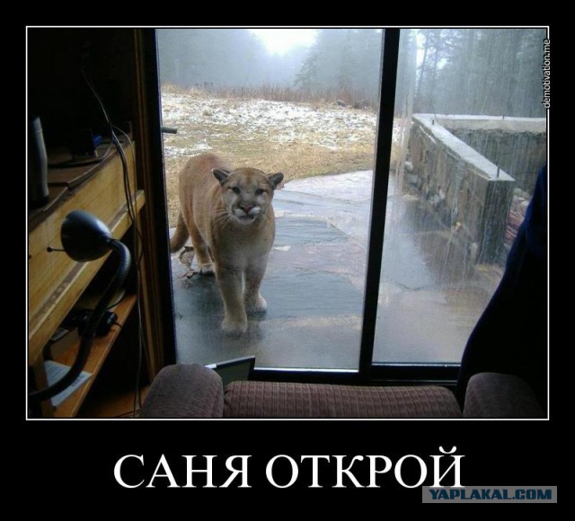 Похождения машины