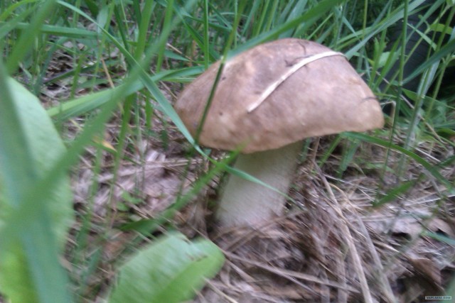 Просто выходные...