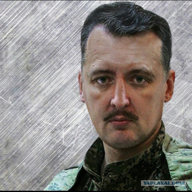 Стрелков собирается бороться