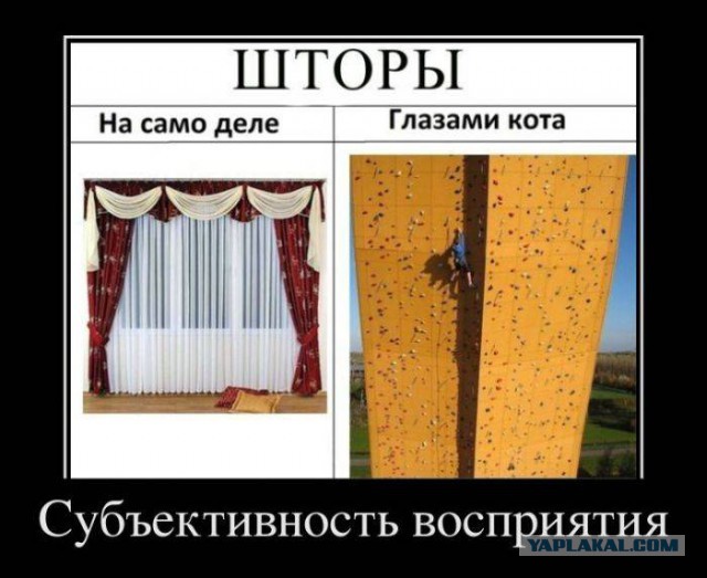 Картинки из сети на понедельник