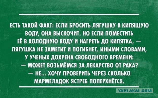 Забавные картинки из Сети