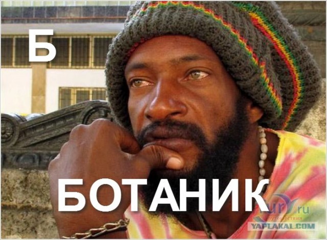 Суровый алфавит по-русски