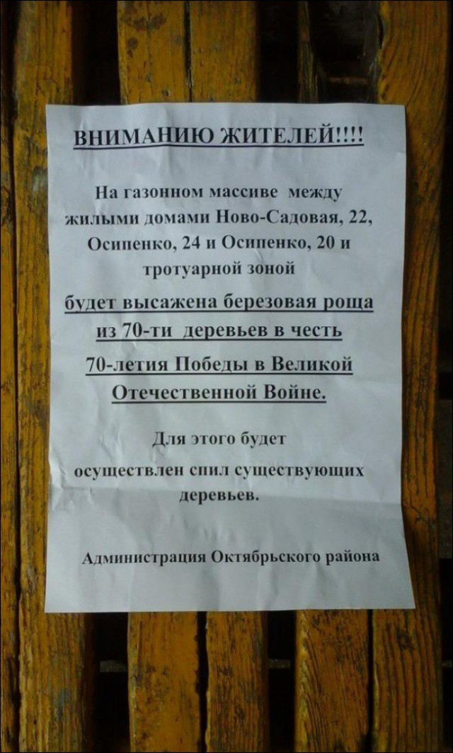 Подборка веселостей из сети