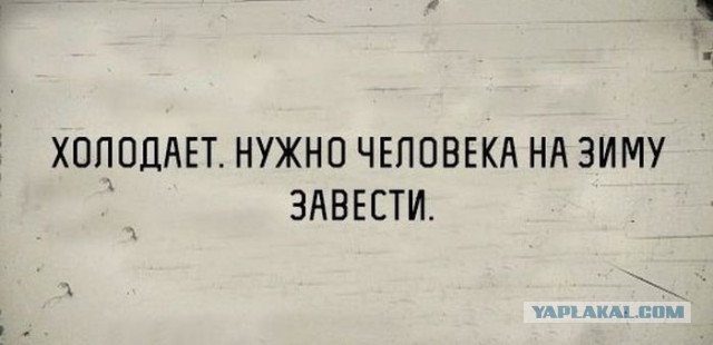 Извините,но... ПЯТНИЦА!