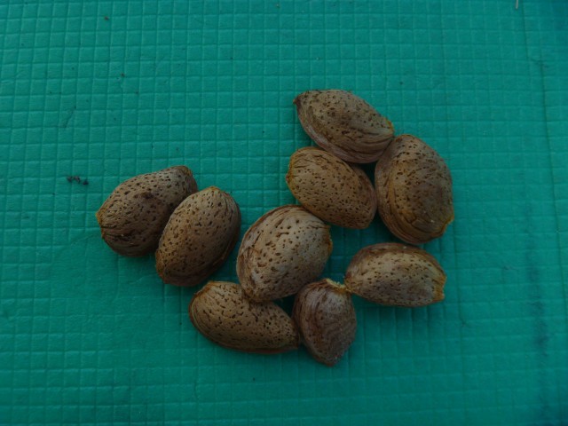 Путешествие автостопом из Донецка в Севастополь.