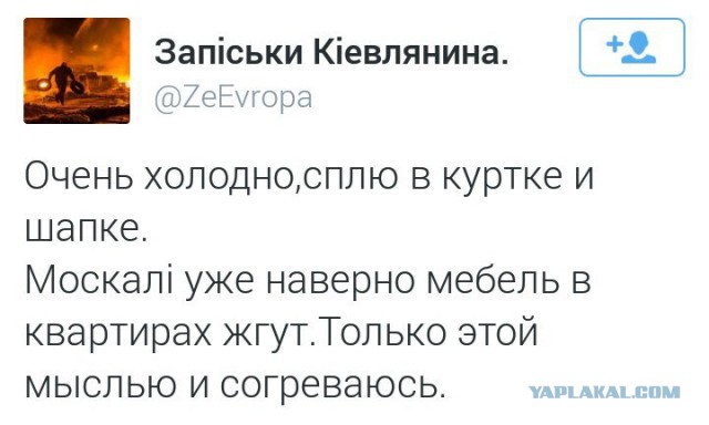 10 злободневных политических картинок