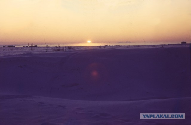 Немного моих фото, авторское