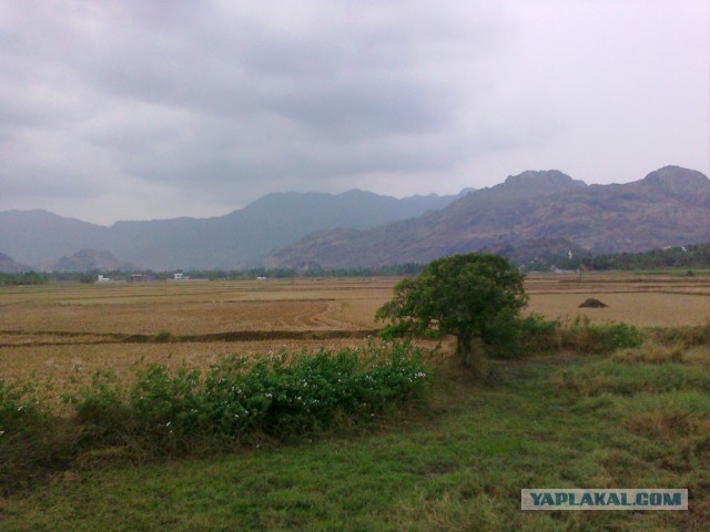 Индия, Индия, Индия ...