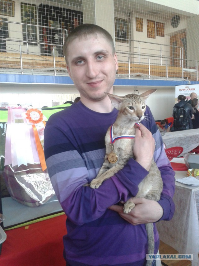 КотоВторник 26.04.2016