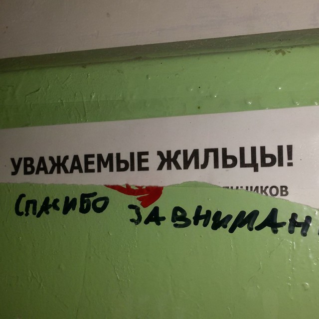 Надписи. Что написано пером...