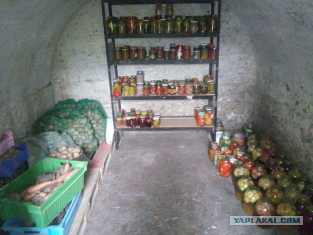 Израильская сеть откроет в России тысячу кофеен с фиксированной ценой