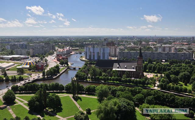 Очарованная Калининградом