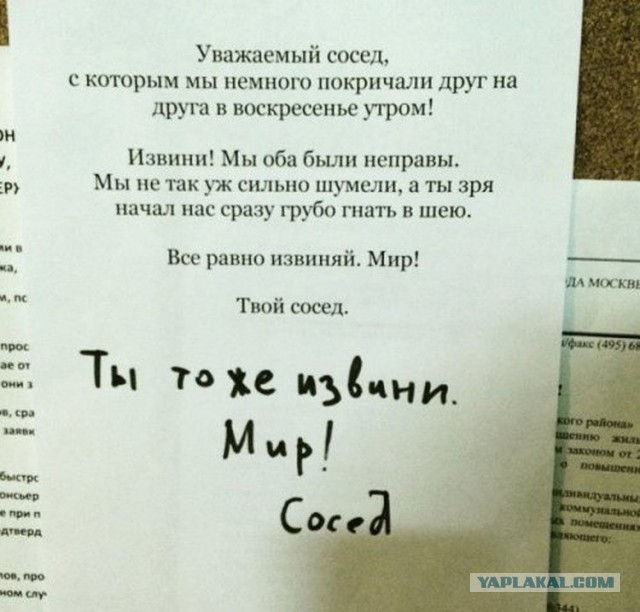 Смешные комментарии из социальных сетей 11.11.2016