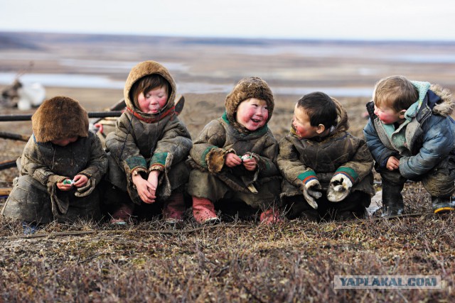 Кадры, бьющие насквозь