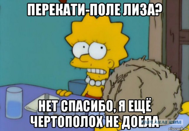 Обед из чертополоха