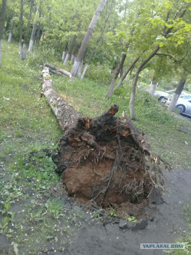 В Москве ураган!