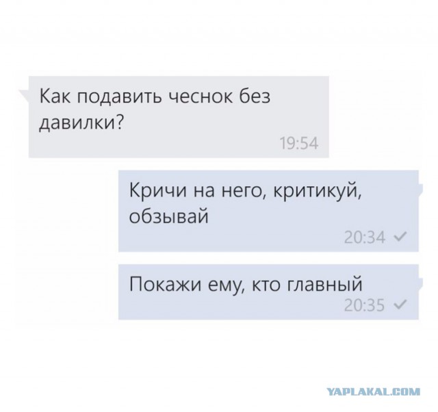 Смешные комментарии из социальных сетей 24.11.2017